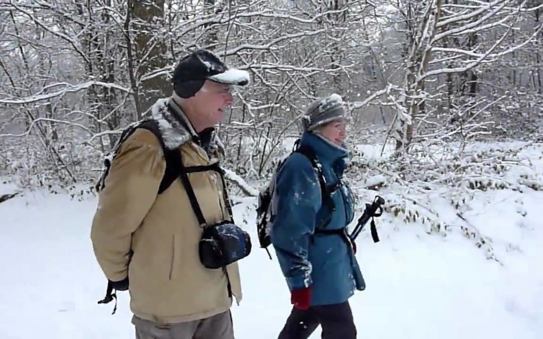 forêt de Rougeau sous la neige