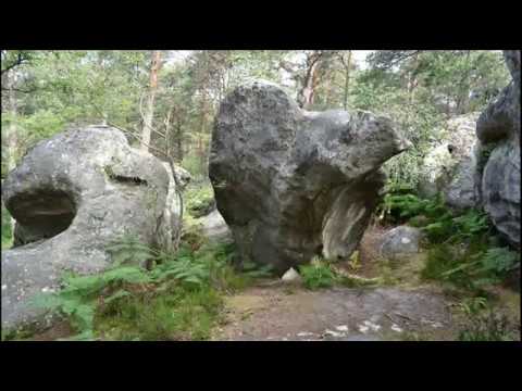 Vidéo de Cuvier Chatillon