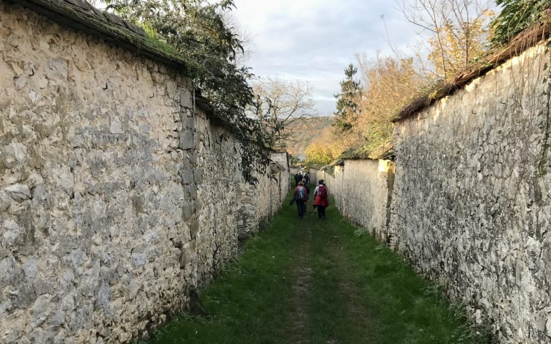 Champagne S/Seine – Thomery, le 14 novembre avec Michel. Photos de Michel, Isabelle et Jean-Claude